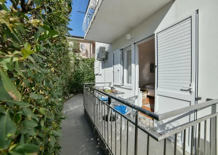 Cozy Near * باشْكا